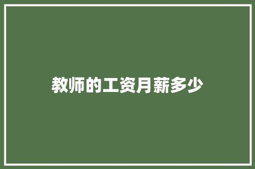 教师的工资月薪多少