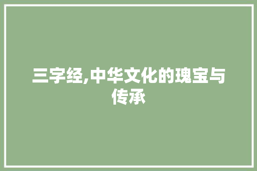 三字经,中华文化的瑰宝与传承