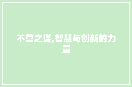 不营之谋,智慧与创新的力量