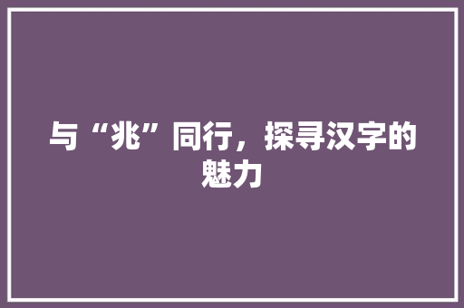 与“兆”同行，探寻汉字的魅力