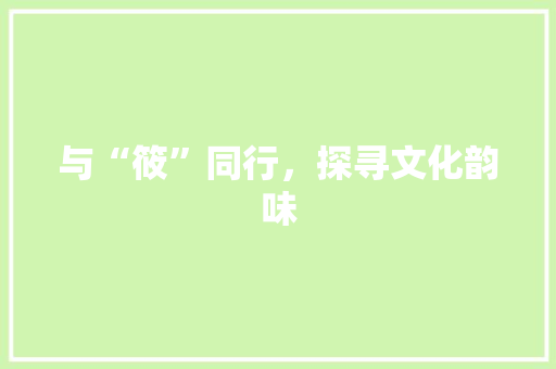 与“筱”同行，探寻文化韵味