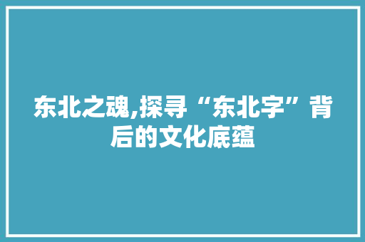 东北之魂,探寻“东北字”背后的文化底蕴