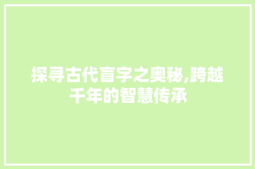 探寻古代盲字之奥秘,跨越千年的智慧传承