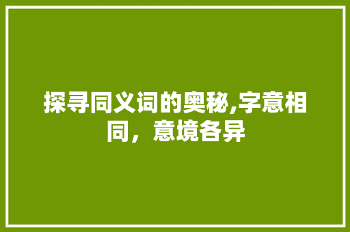 探寻同义词的奥秘,字意相同，意境各异