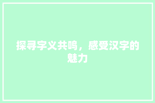 探寻字义共鸣，感受汉字的魅力