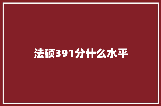 法硕391分什么水平