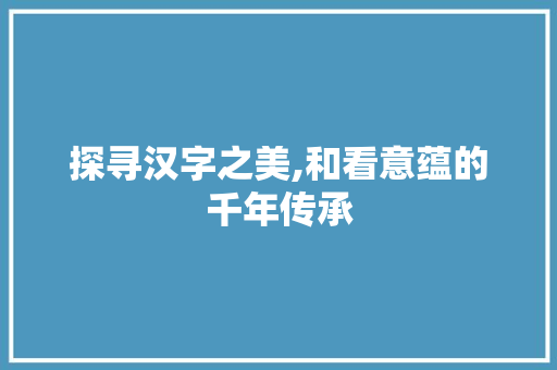 探寻汉字之美,和看意蕴的千年传承