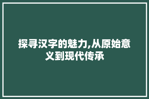 探寻汉字的魅力,从原始意义到现代传承