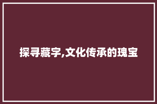 探寻藏字,文化传承的瑰宝