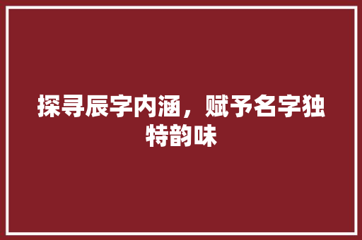 探寻辰字内涵，赋予名字独特韵味
