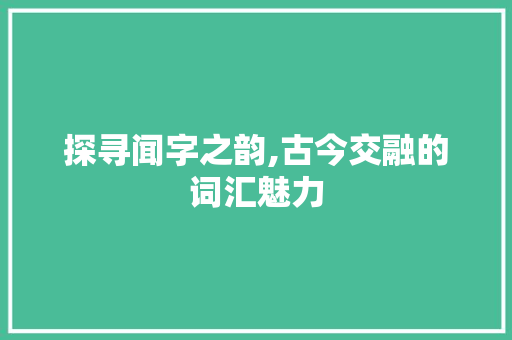探寻闻字之韵,古今交融的词汇魅力