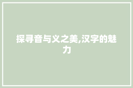 探寻音与义之美,汉字的魅力