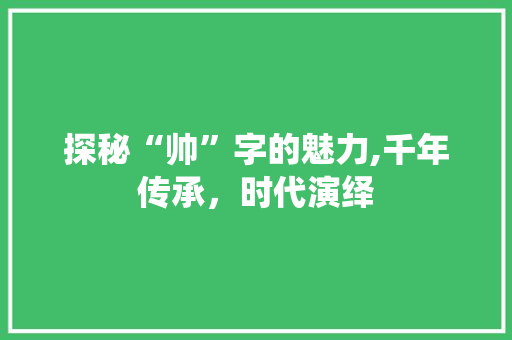 探秘“帅”字的魅力,千年传承，时代演绎