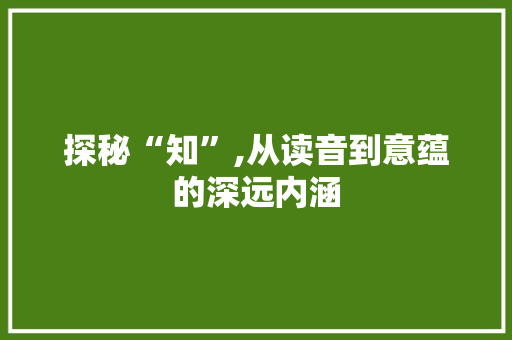 探秘“知”,从读音到意蕴的深远内涵