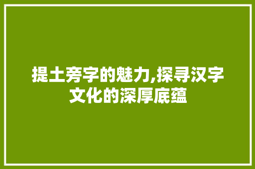 提土旁字的魅力,探寻汉字文化的深厚底蕴