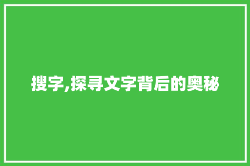 搜字,探寻文字背后的奥秘