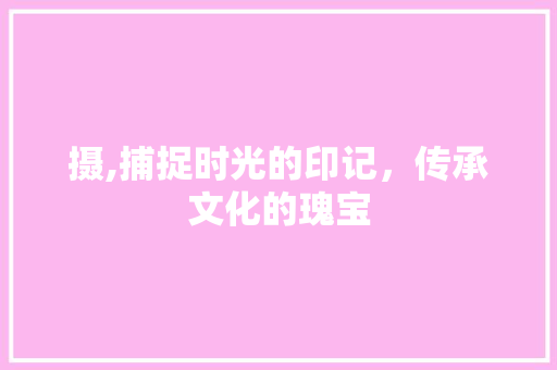 摄,捕捉时光的印记，传承文化的瑰宝