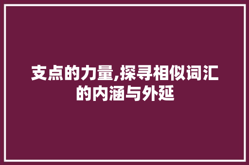 支点的力量,探寻相似词汇的内涵与外延