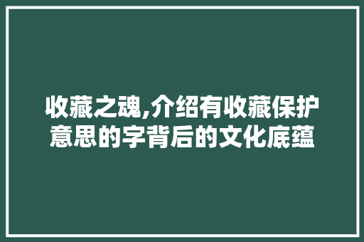 收藏之魂,介绍有收藏保护意思的字背后的文化底蕴