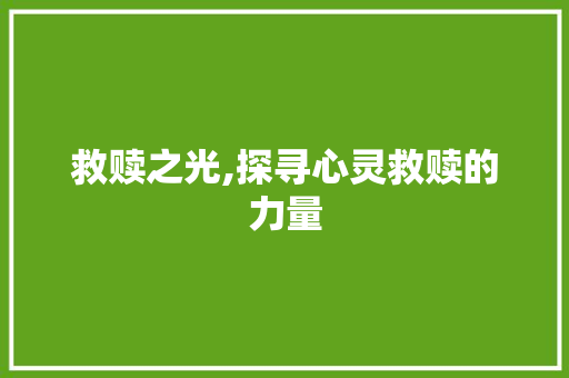 救赎之光,探寻心灵救赎的力量