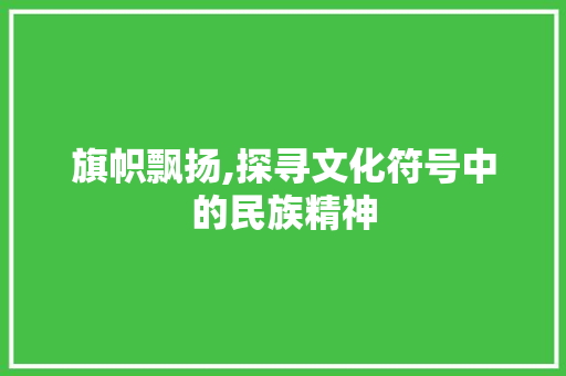 旗帜飘扬,探寻文化符号中的民族精神