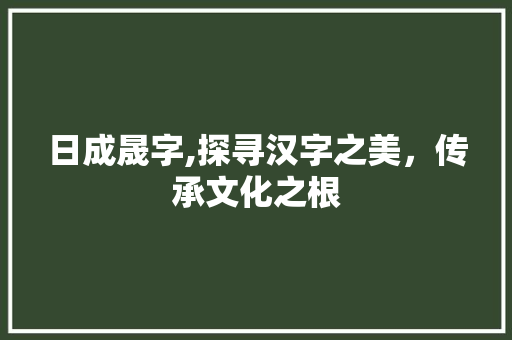日成晟字,探寻汉字之美，传承文化之根