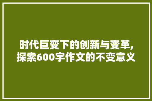 时代巨变下的创新与变革,探索600字作文的不变意义