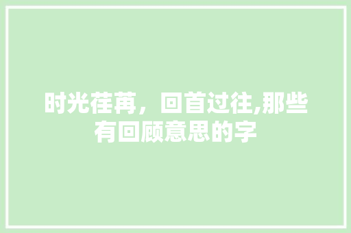 时光荏苒，回首过往,那些有回顾意思的字