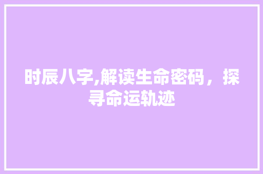 时辰八字,解读生命密码，探寻命运轨迹