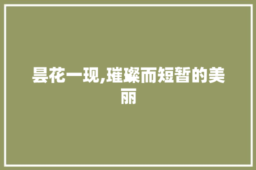 昙花一现,璀璨而短暂的美丽