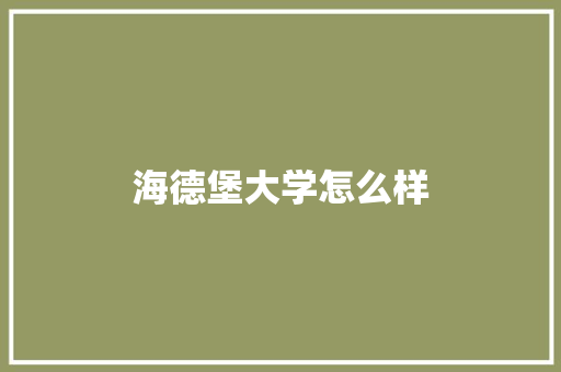 海德堡大学怎么样