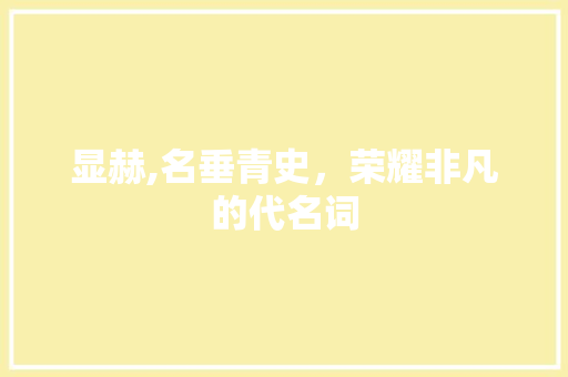显赫,名垂青史，荣耀非凡的代名词