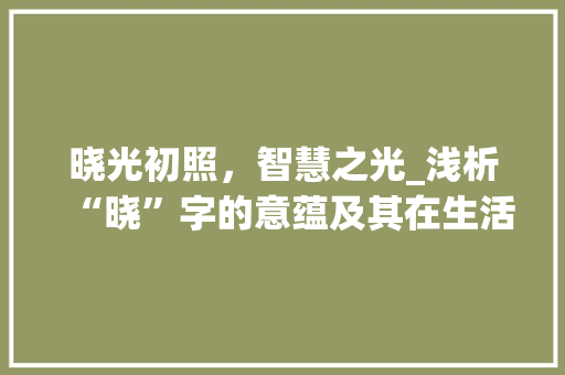 晓光初照，智慧之光_浅析“晓”字的意蕴及其在生活中的体现