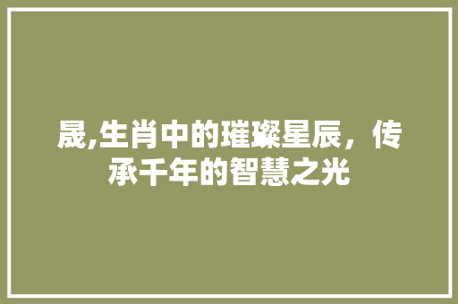 晟,生肖中的璀璨星辰，传承千年的智慧之光