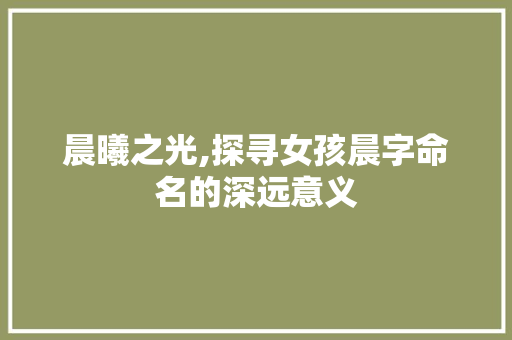 晨曦之光,探寻女孩晨字命名的深远意义