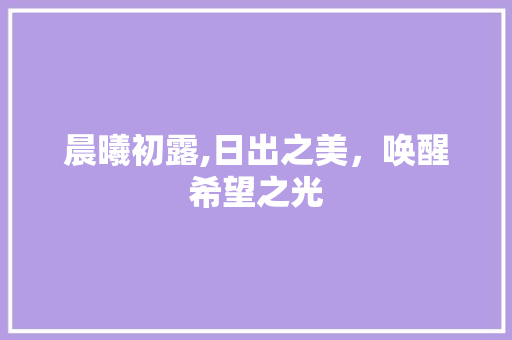 晨曦初露,日出之美，唤醒希望之光 诗句鉴赏