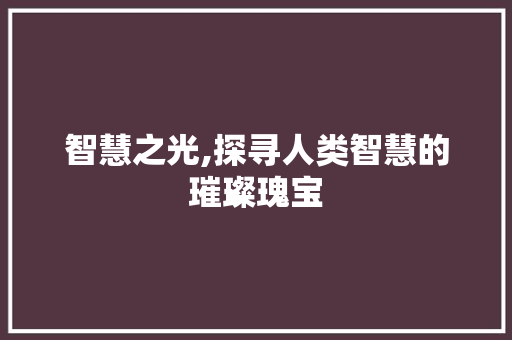 智慧之光,探寻人类智慧的璀璨瑰宝