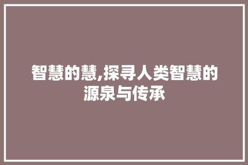 智慧的慧,探寻人类智慧的源泉与传承