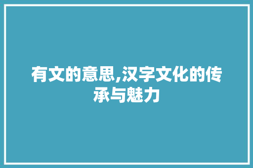 有文的意思,汉字文化的传承与魅力