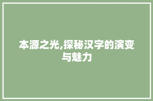 本源之光,探秘汉字的演变与魅力