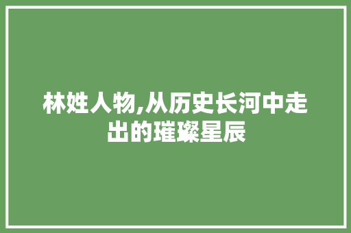林姓人物,从历史长河中走出的璀璨星辰