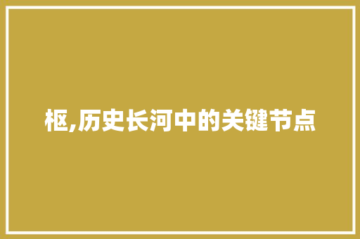 枢,历史长河中的关键节点