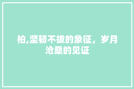 柏,坚韧不拔的象征，岁月沧桑的见证