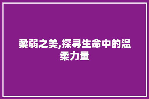 柔弱之美,探寻生命中的温柔力量