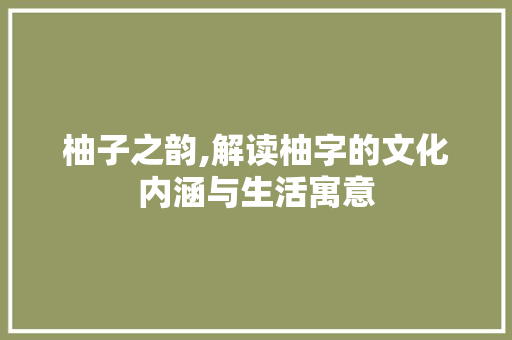 柚子之韵,解读柚字的文化内涵与生活寓意