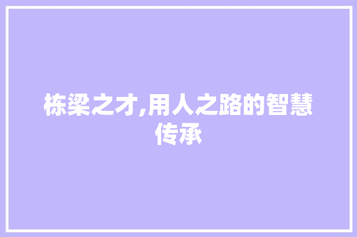 栋梁之才,用人之路的智慧传承