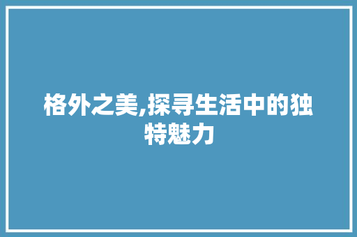 格外之美,探寻生活中的独特魅力