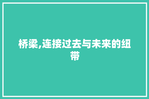 桥梁,连接过去与未来的纽带