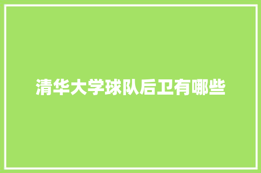 清华大学球队后卫有哪些