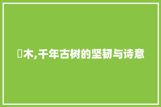 梣木,千年古树的坚韧与诗意